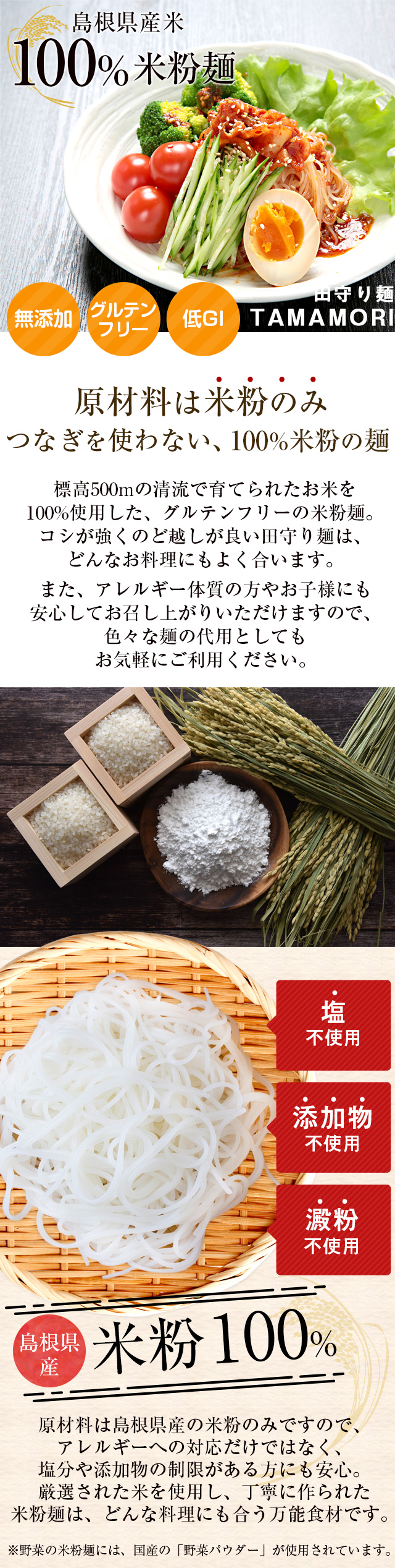 10割米粉麺「TAMAMORI」4食入 小麦粉不使用 グルテンフリー 無添加