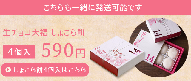 ちょこもち チョコレート・ホワイト 各10個入り ちょこもち チョコレート・ホワイト 各10個入り